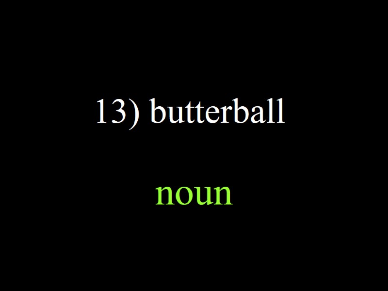 13) butterball noun